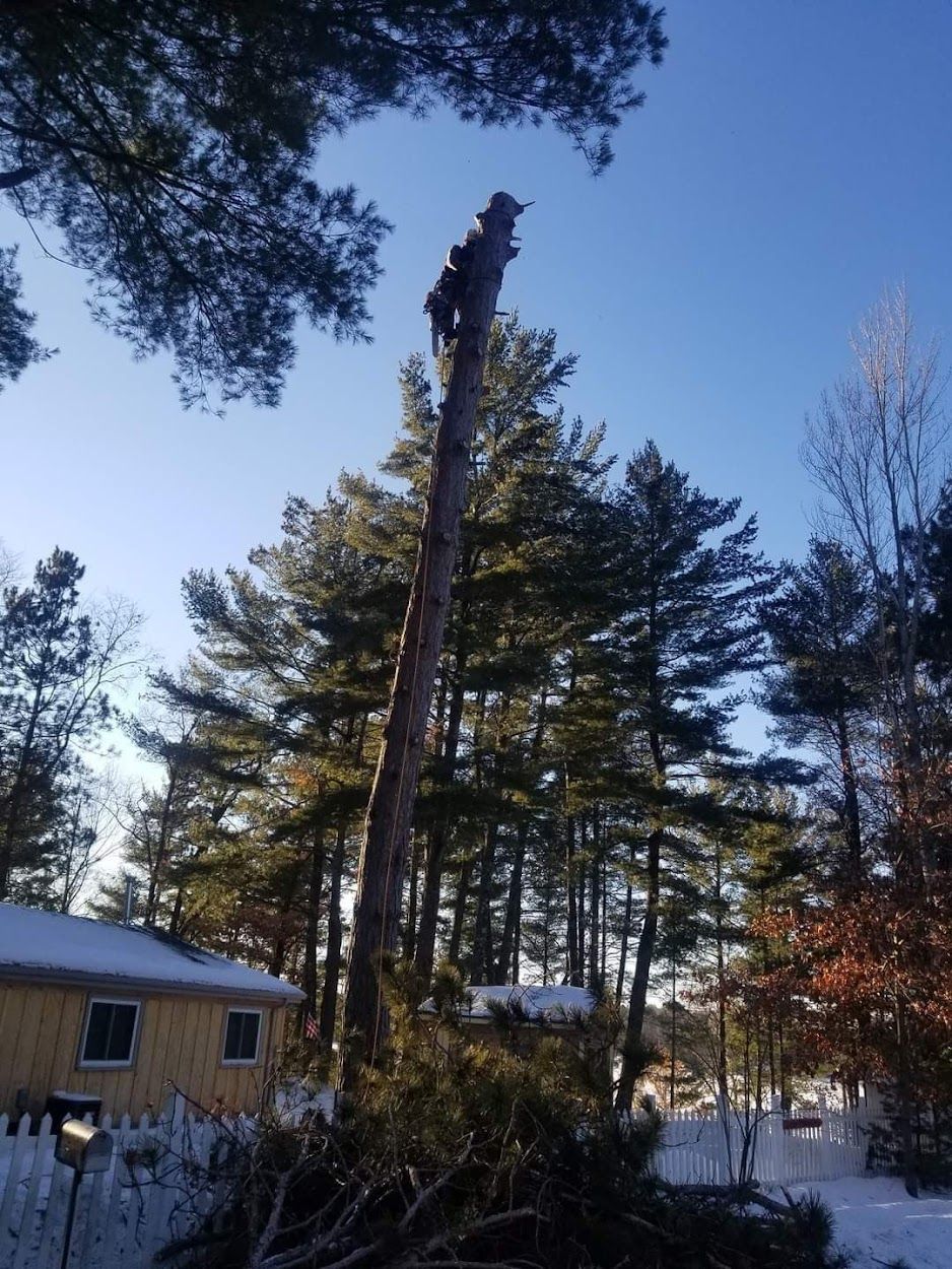 Burnett County, WI Tree Trimming