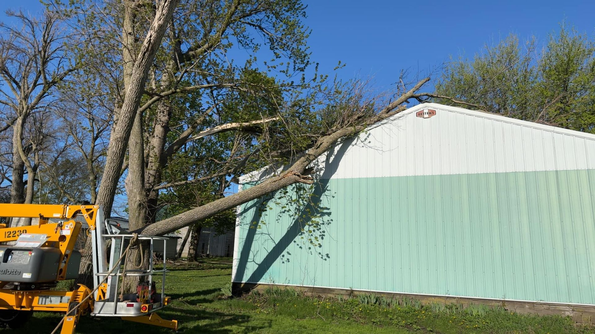 Emergency Tree Service Burnett County, WI