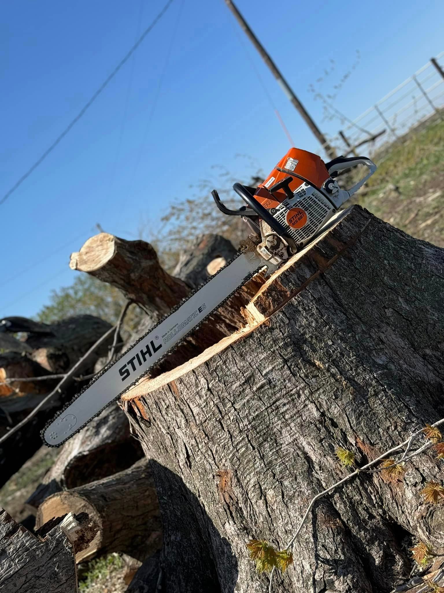 Tree Removal Burnett County, WI