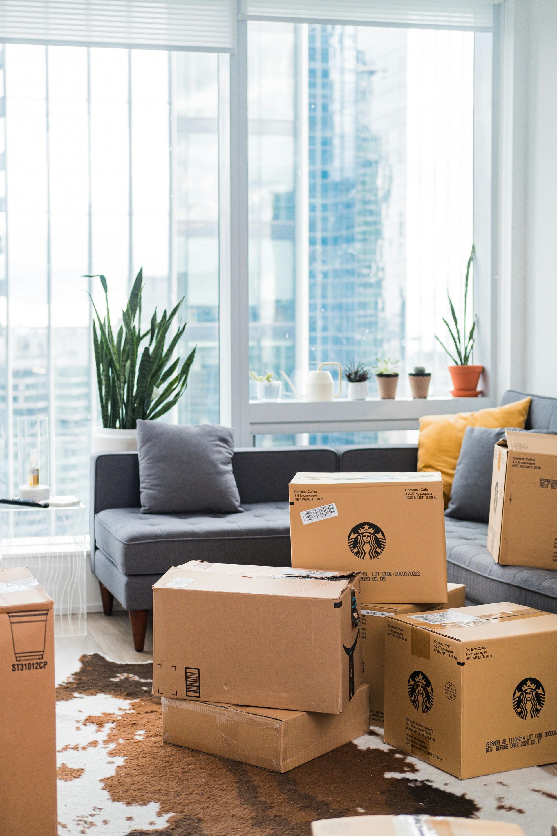 Cardboard boxes stacked in a modern living room, sofa, plants, large windows, and a city view.