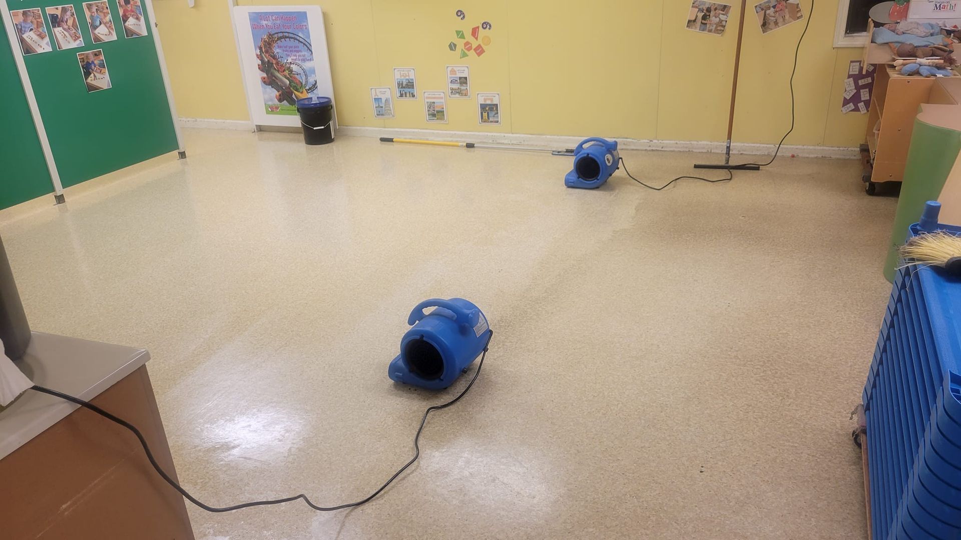 Yellow house with white garage door and walkway, palm trees in front yard.