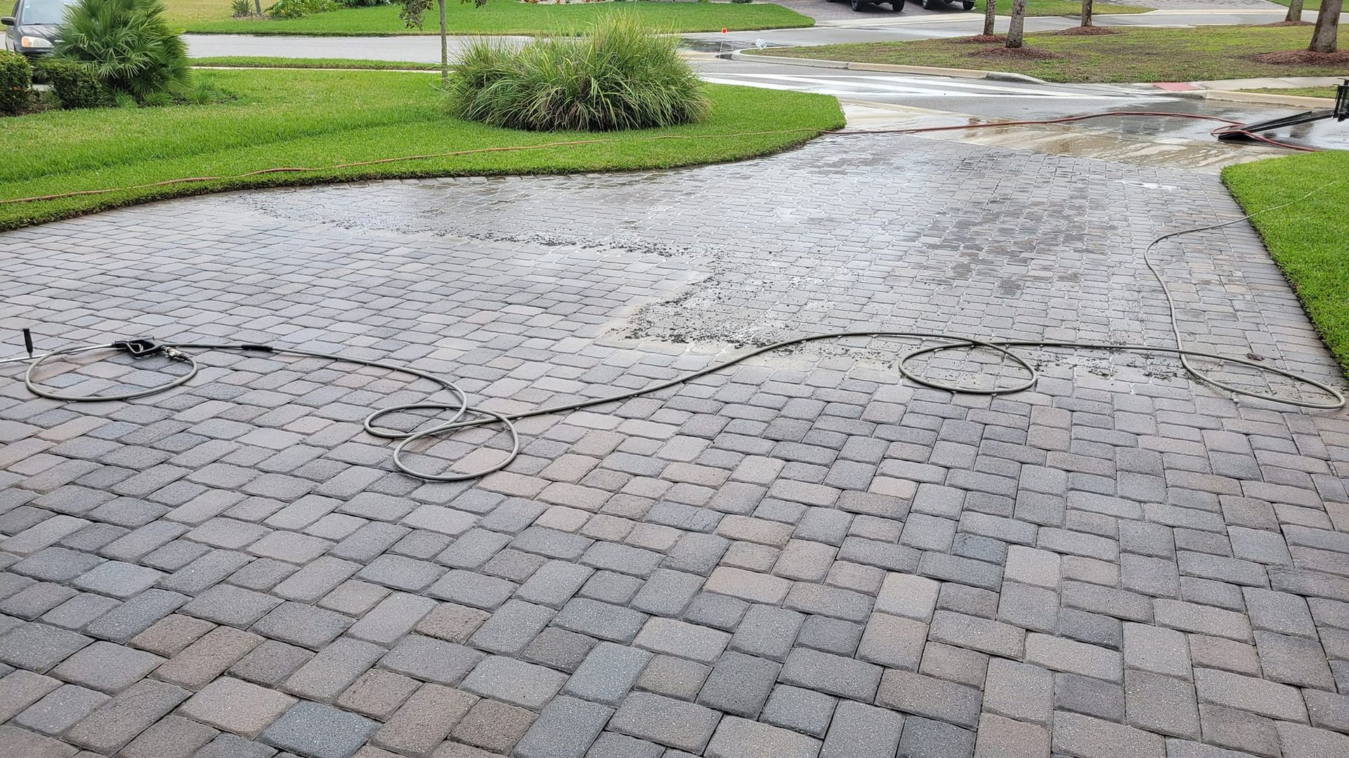 Wet brick paver driveway with hose coiled; green lawn borders.