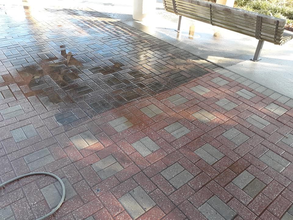 House Pressure Washing and Spider Web Removal