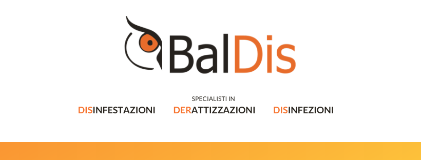 Logo Baldis
