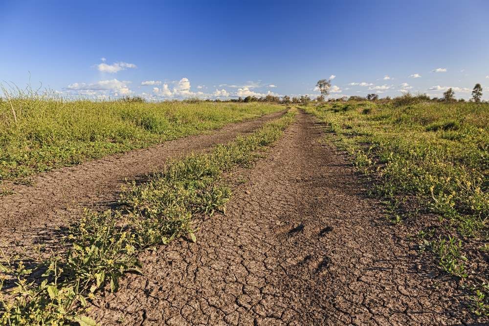 A Dirt Road Going Through a Grassy Field on a Sunny Day — Anthony Cameron Electrical & Solar in Gin Gin, QLD