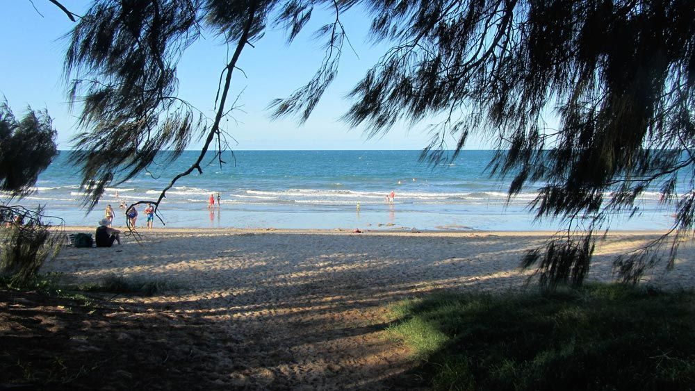 A View of a Beach Through a Tree Branch — Anthony Cameron Electrical & Solar in Woodgate, QLD