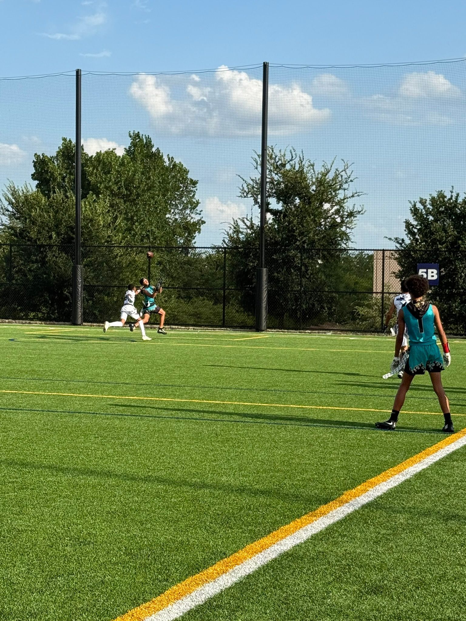 Lacrosse game on a green field with players in teal uniforms, net behind, sunny day.