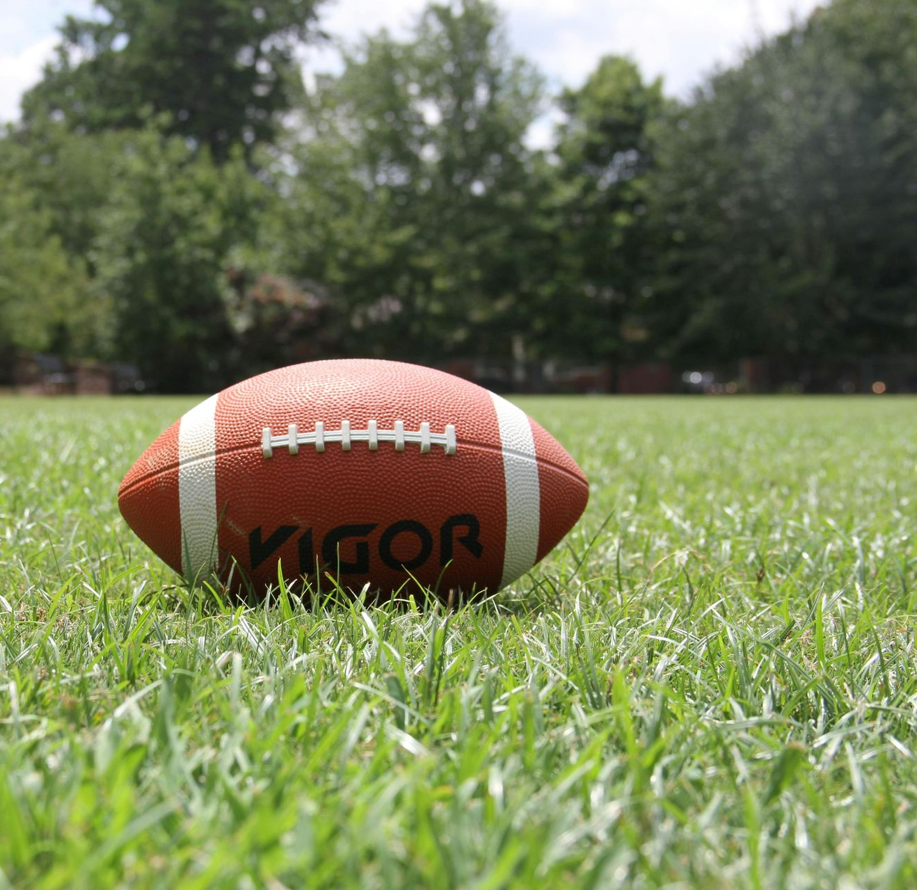 Football on a grassy field with trees in the background.