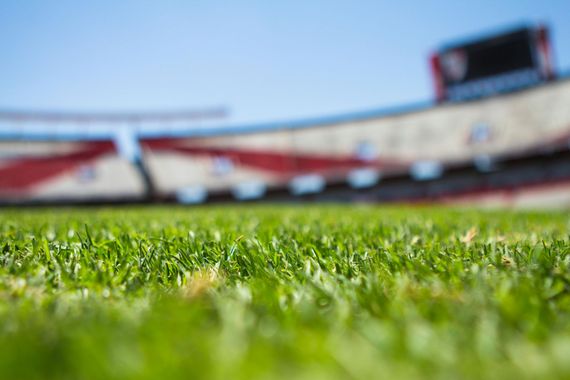 Green grass in foreground with a blurred stadium in the background, blue sky above.