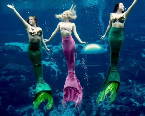Three mermaids are swimming together in the ocean