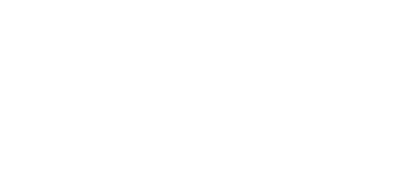 Straight Flush Septic logo