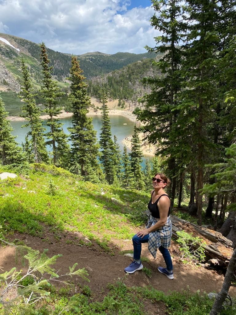 Two dogs are sitting in the grass in a field.