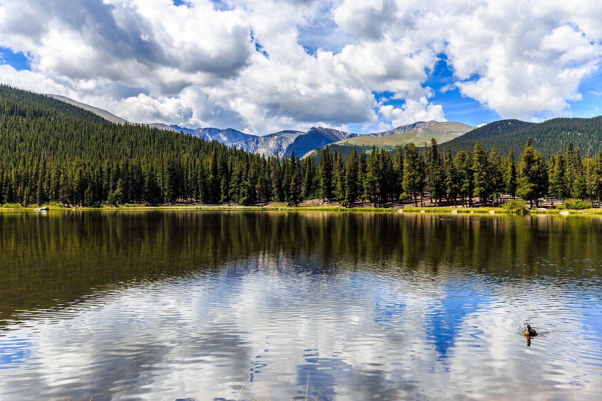 A lake with mountains in the background and trees on the shore