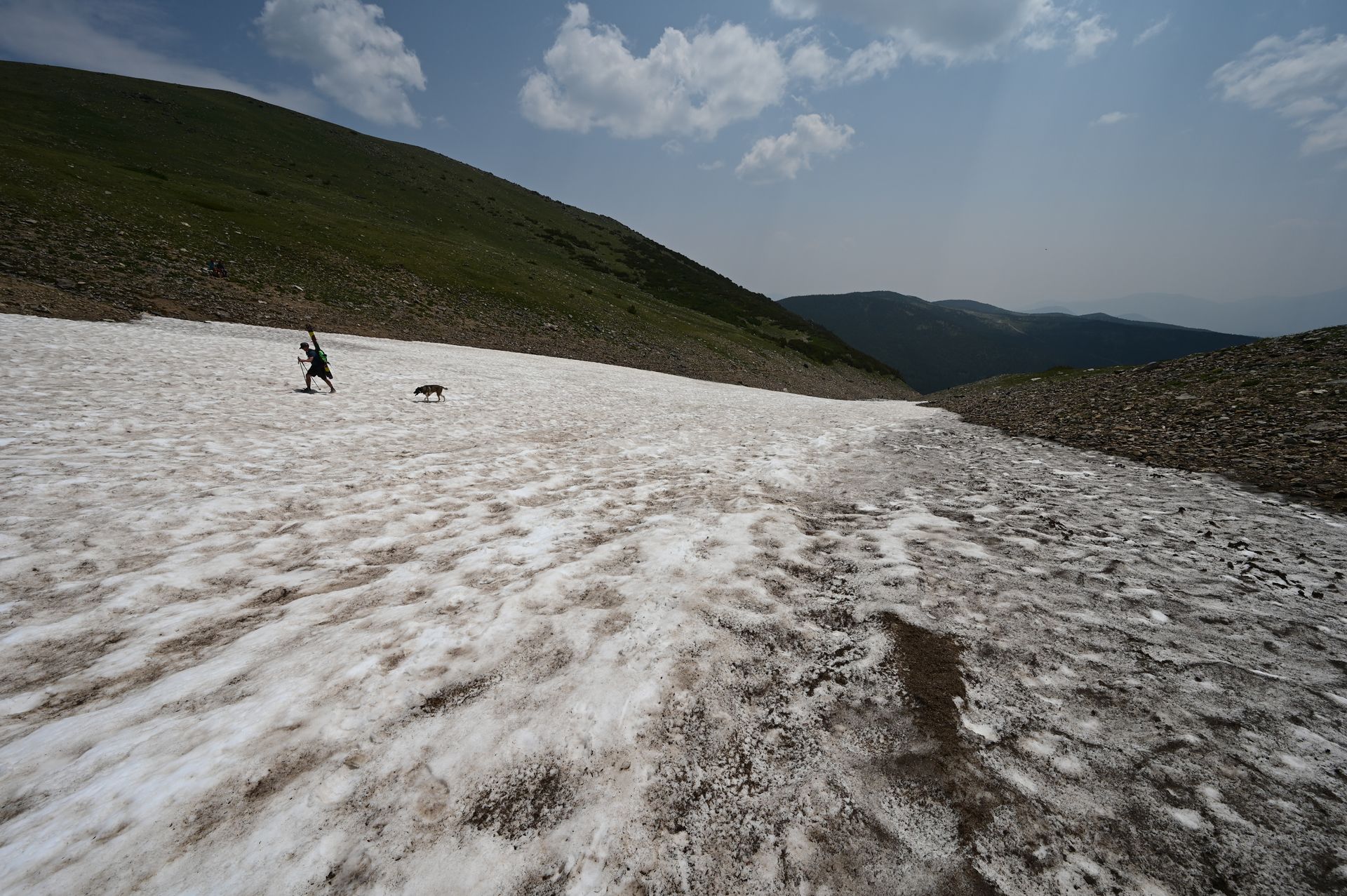 A man and a dog are walking through a snowy field.