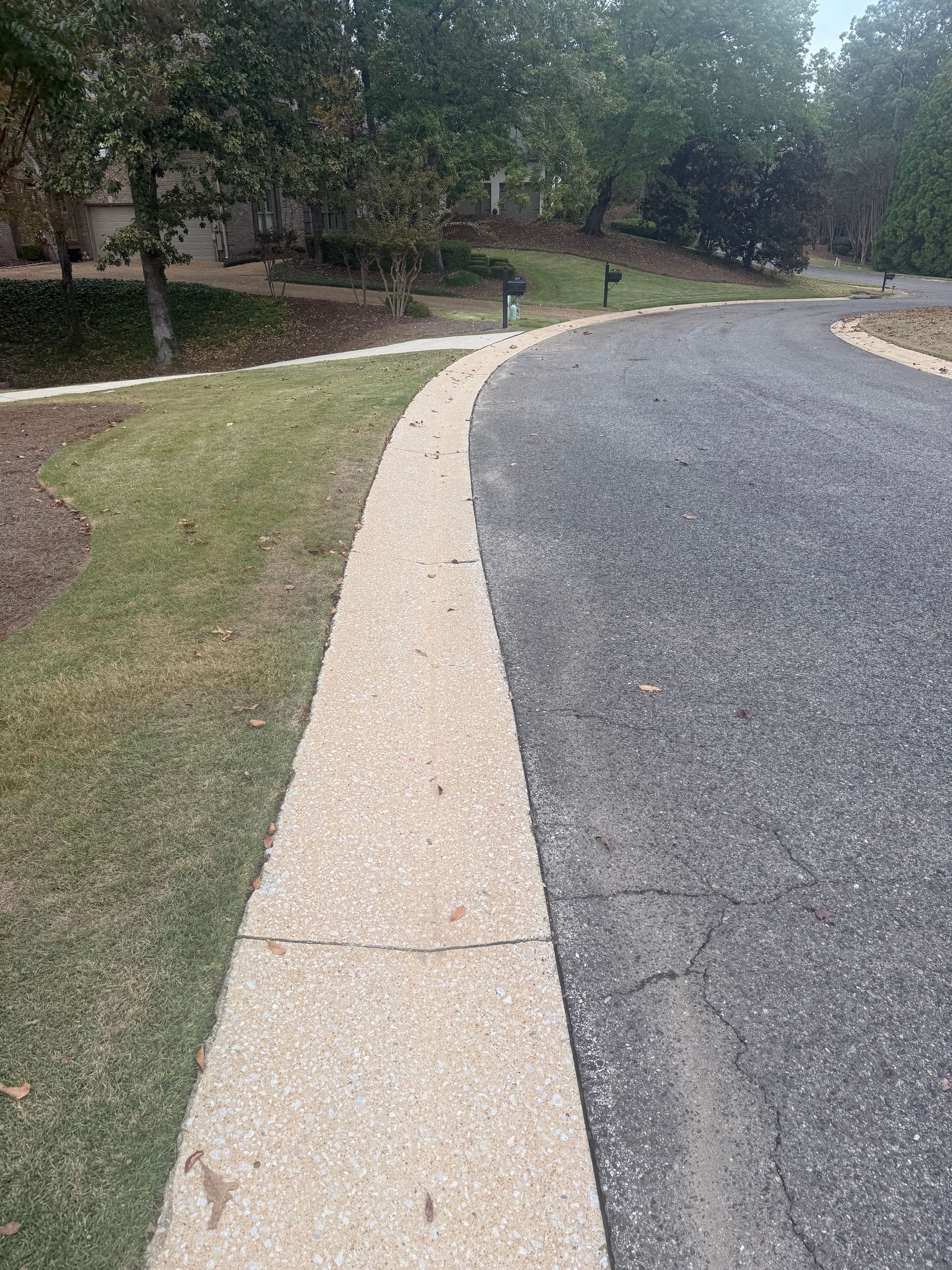 A curved, light concrete sidewalk borders grass on one side and a dark asphalt road on the other.