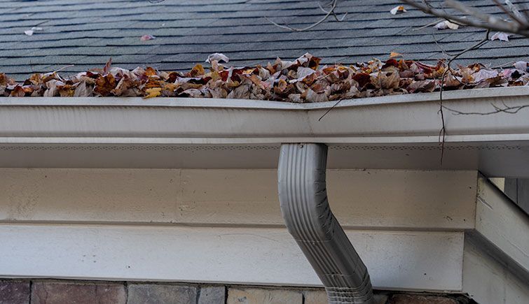 A gutter filled with leaves on the roof of a house.