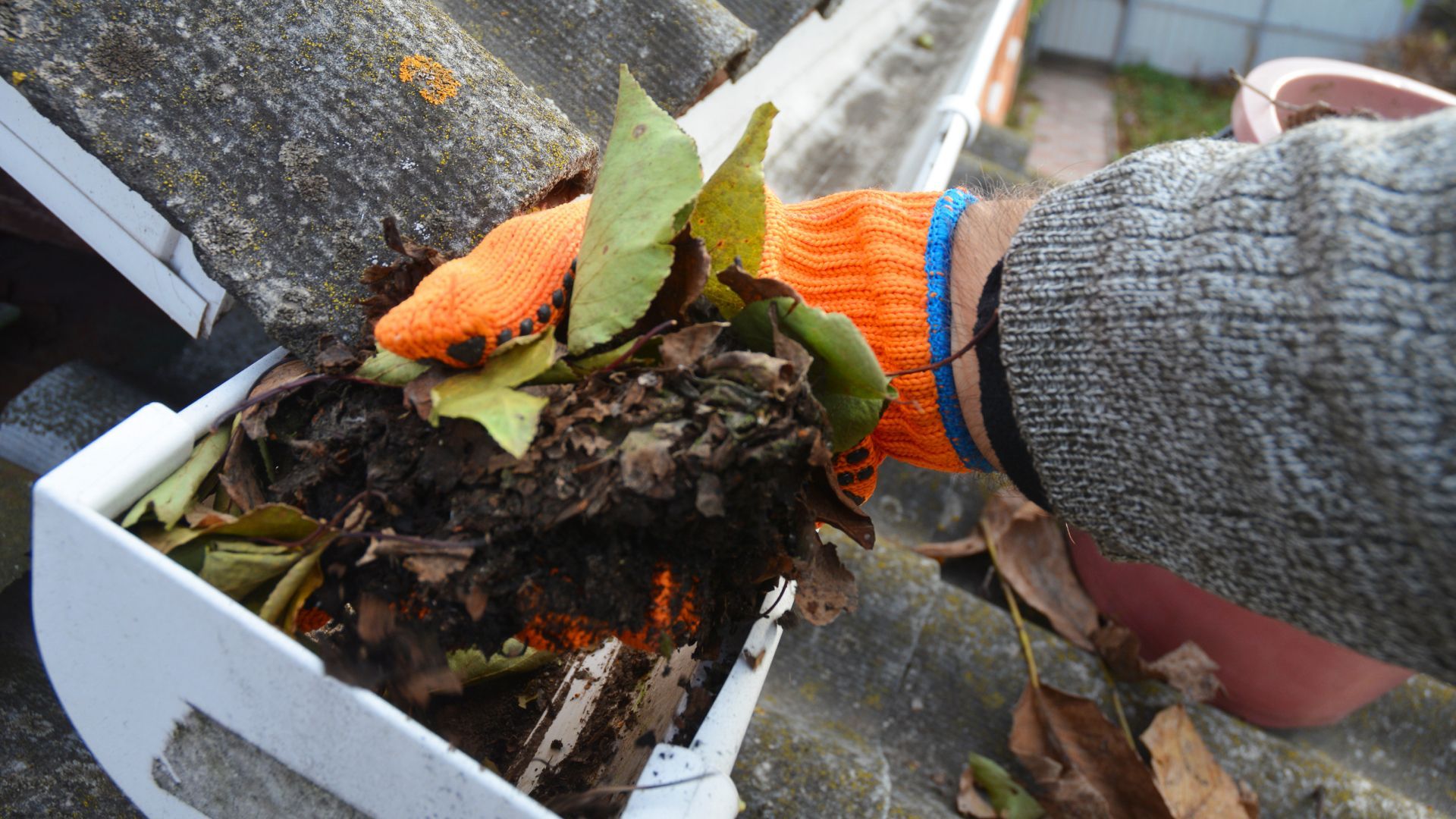 A person wearing orange gloves is cleaning a gutter with leaves.