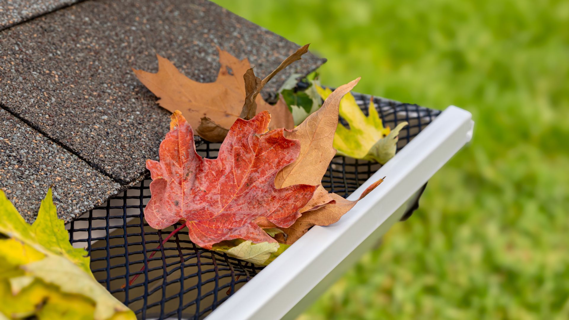 A gutter with leaves coming out of it and a roof in the background.