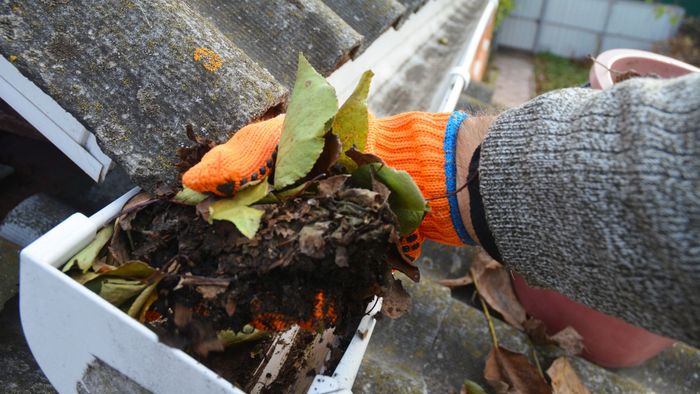 A person wearing orange gloves is cleaning a gutter with leaves.