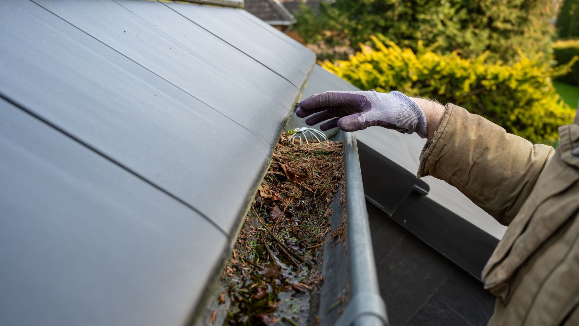 A person is cleaning a gutter on a roof.