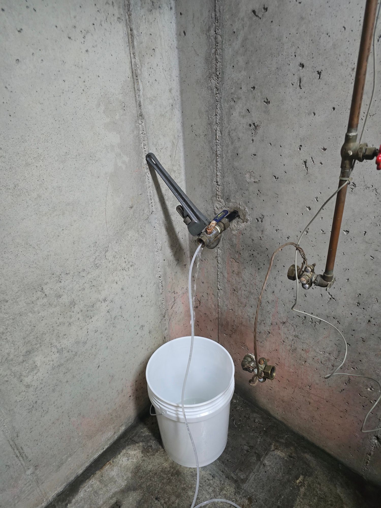 White bucket under a pipe attached to a concrete wall.