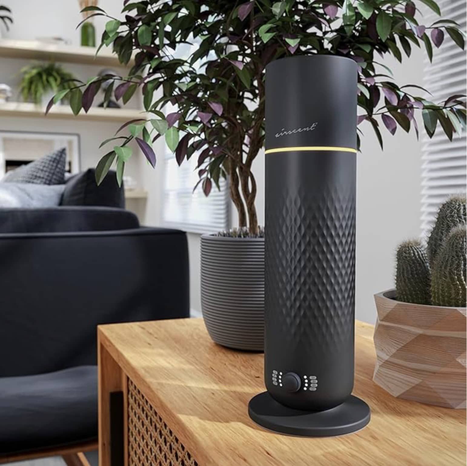Smokey Black Waterless Diffuser Perfect Gift