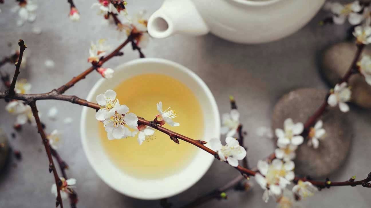 Benefits Of White Tea Essential Oil