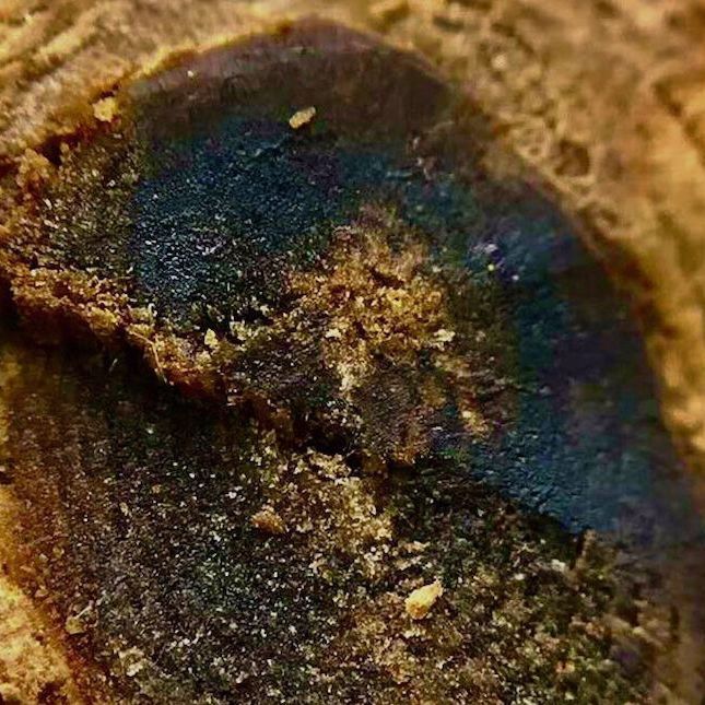 Oud Wood Resin Perfumery