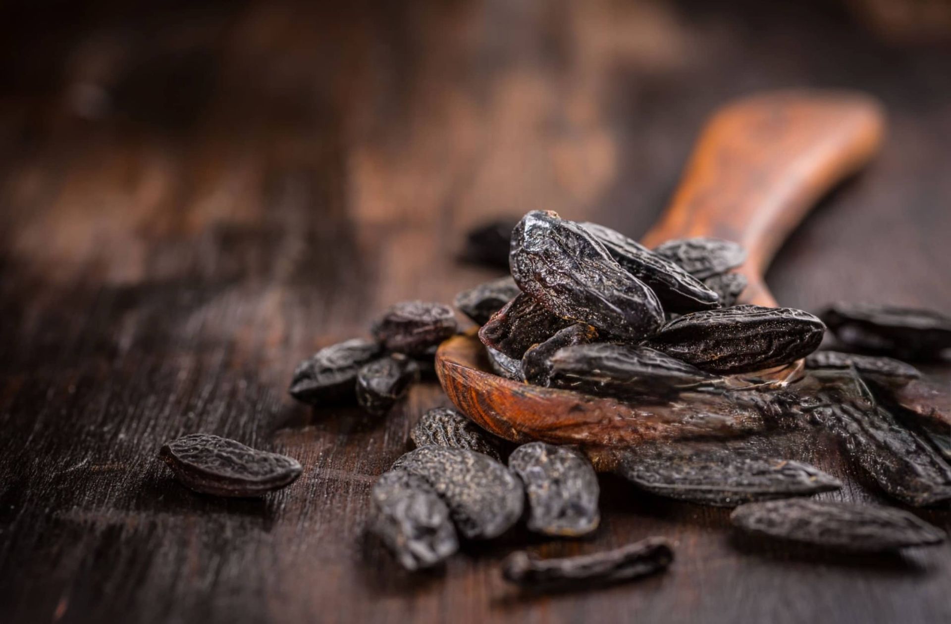 Tonka Bean Hotel Scents