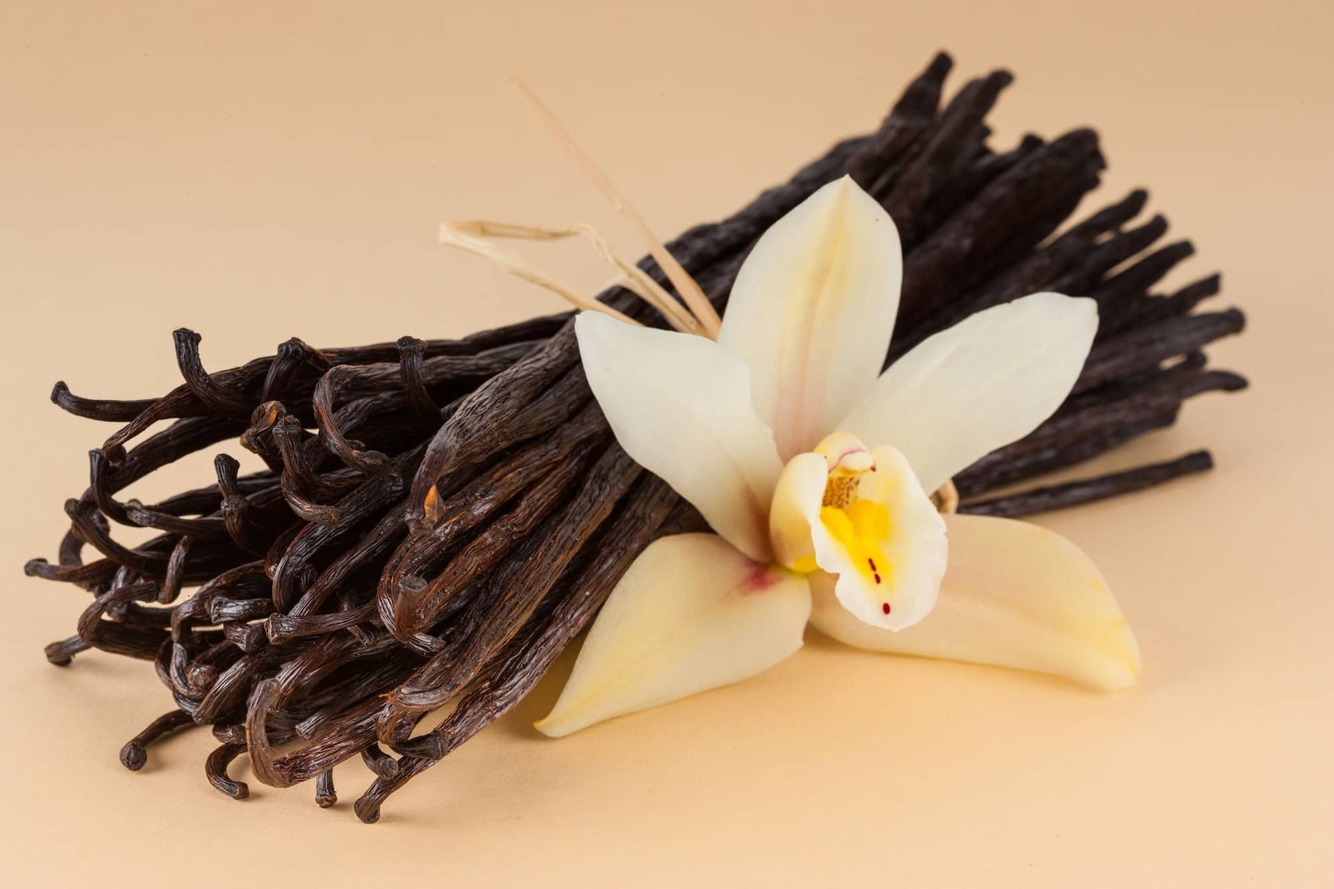Vanilla scents cozy fragrance oils