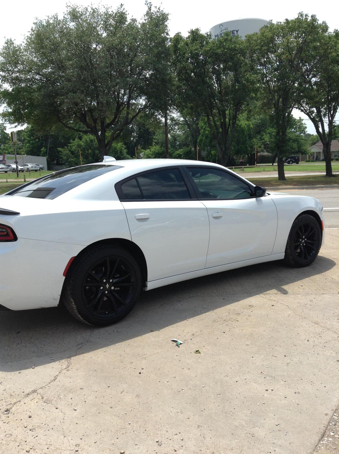 White Car Beside Trees — McKinney, TX — Auto Eclipse