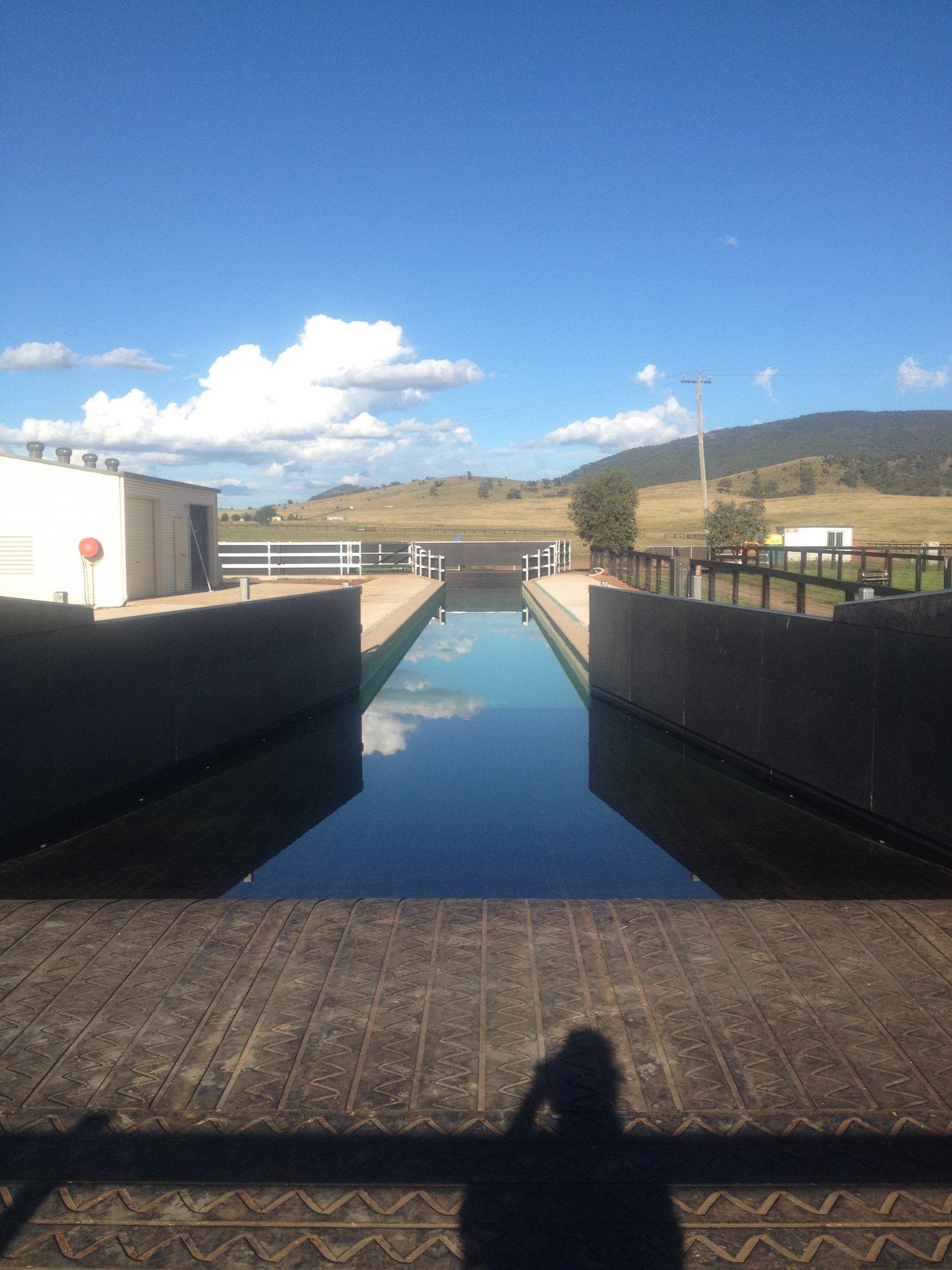 Equine swimming pool — Custom commercial, residential & equine pools in Berrimah, NT