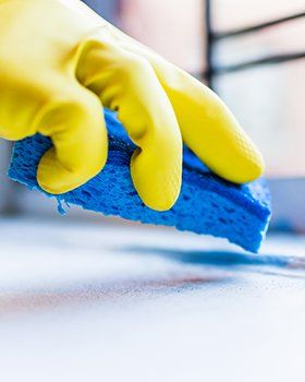 Floor Protectors — Sponges, Chemicals And Plunger in Redmond, WA