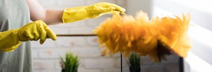 Cleaning Services — Rubbing Feather Duster On Television in Redmond, WA