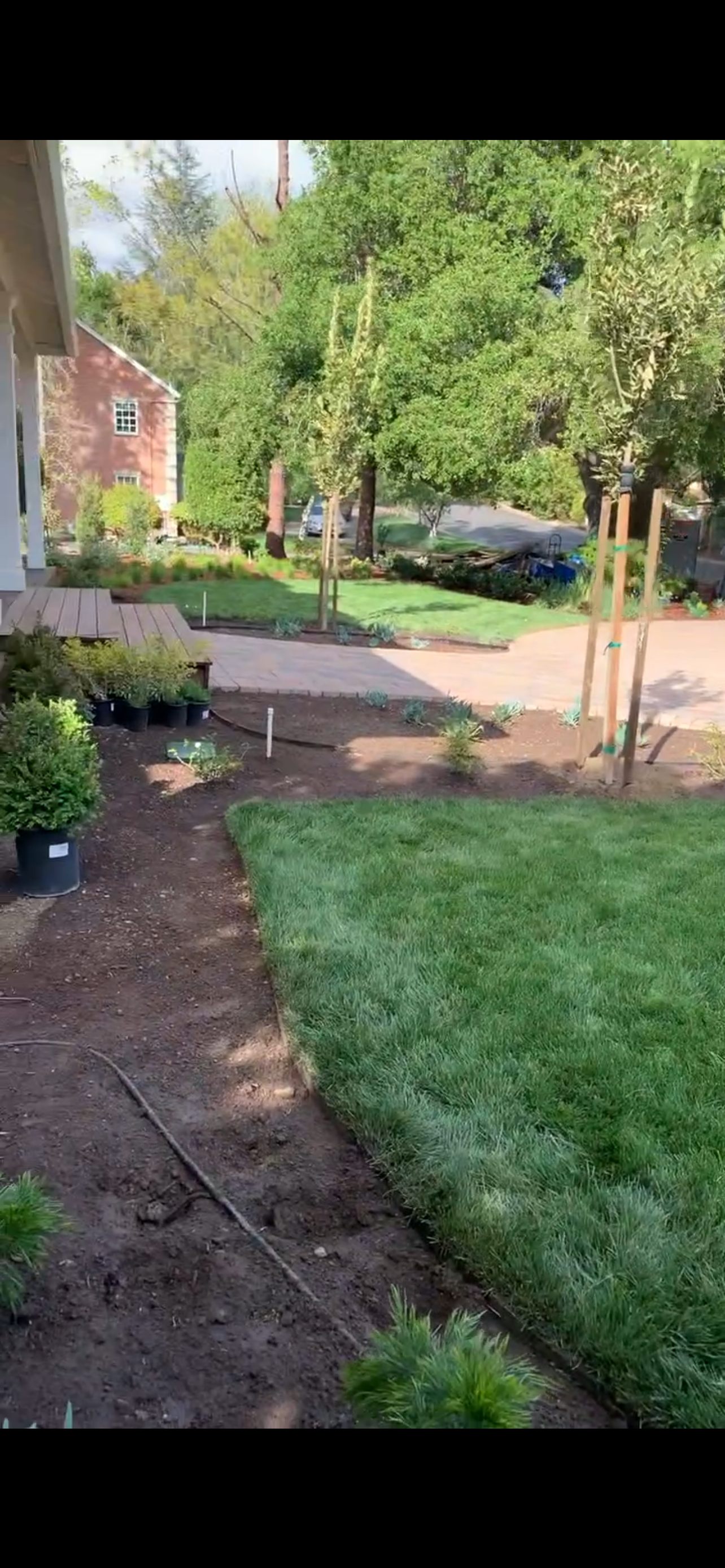 Paved driveway leading to a cream-colored house, framed by palm trees and lush green landscaping.