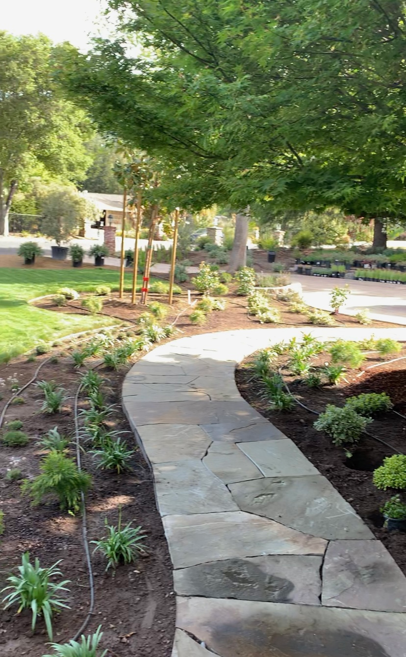 Stone path winds through a garden with plantings and trees; sunlight filters through.