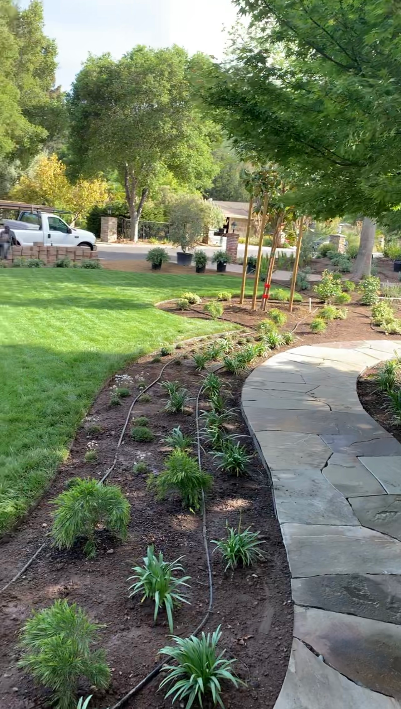 Stone walkway curves past a landscaped garden bed with newly planted greenery and a lawn.