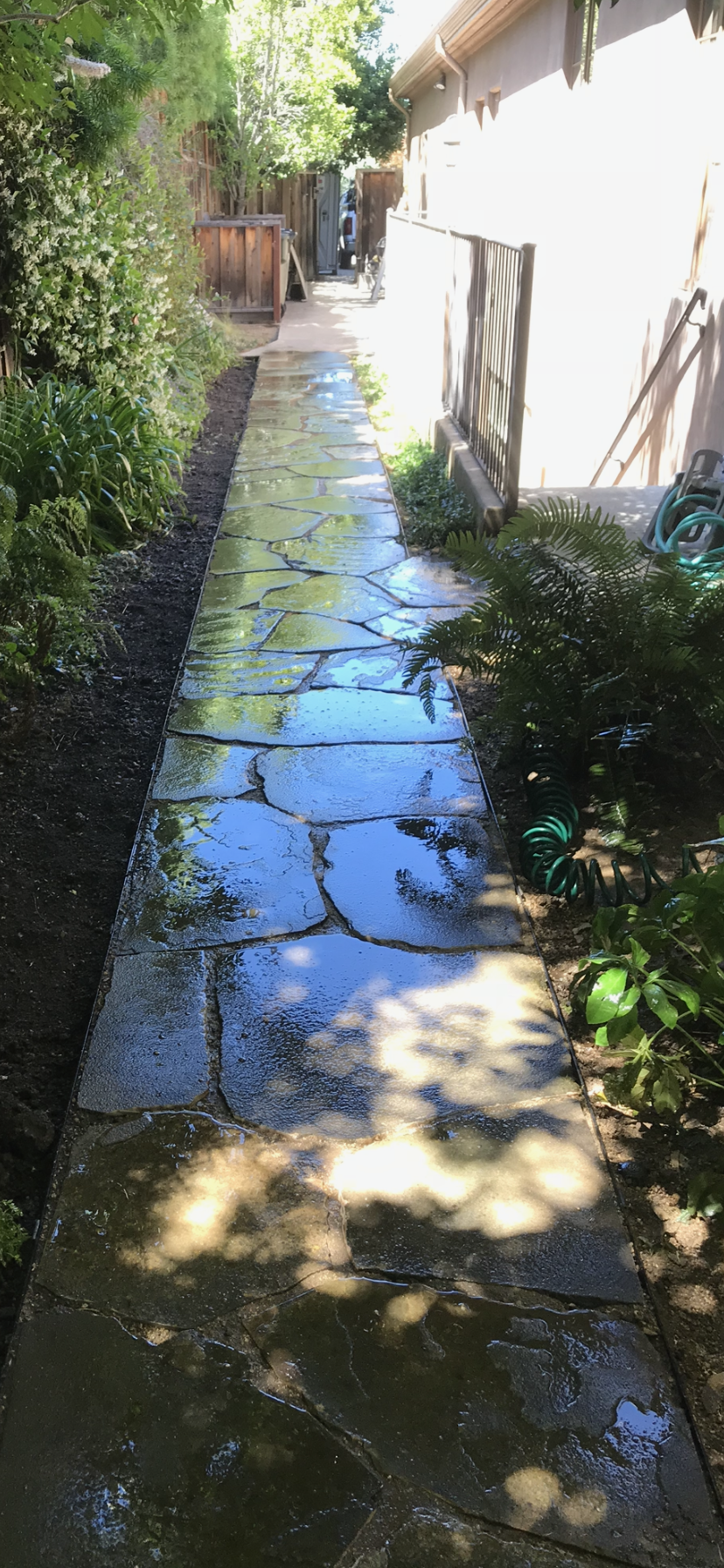 Stone walkway flanked by vegetation, leading toward a wooden fence and building.