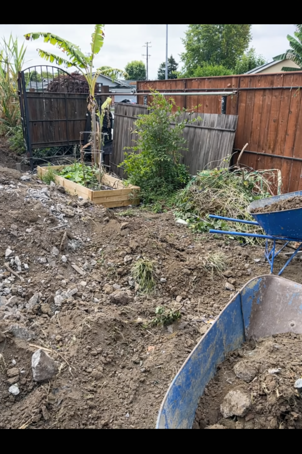 Backyard with dirt and debris, a raised garden bed, and a wheelbarrow. Wooden fences and a banana tree are visible.
