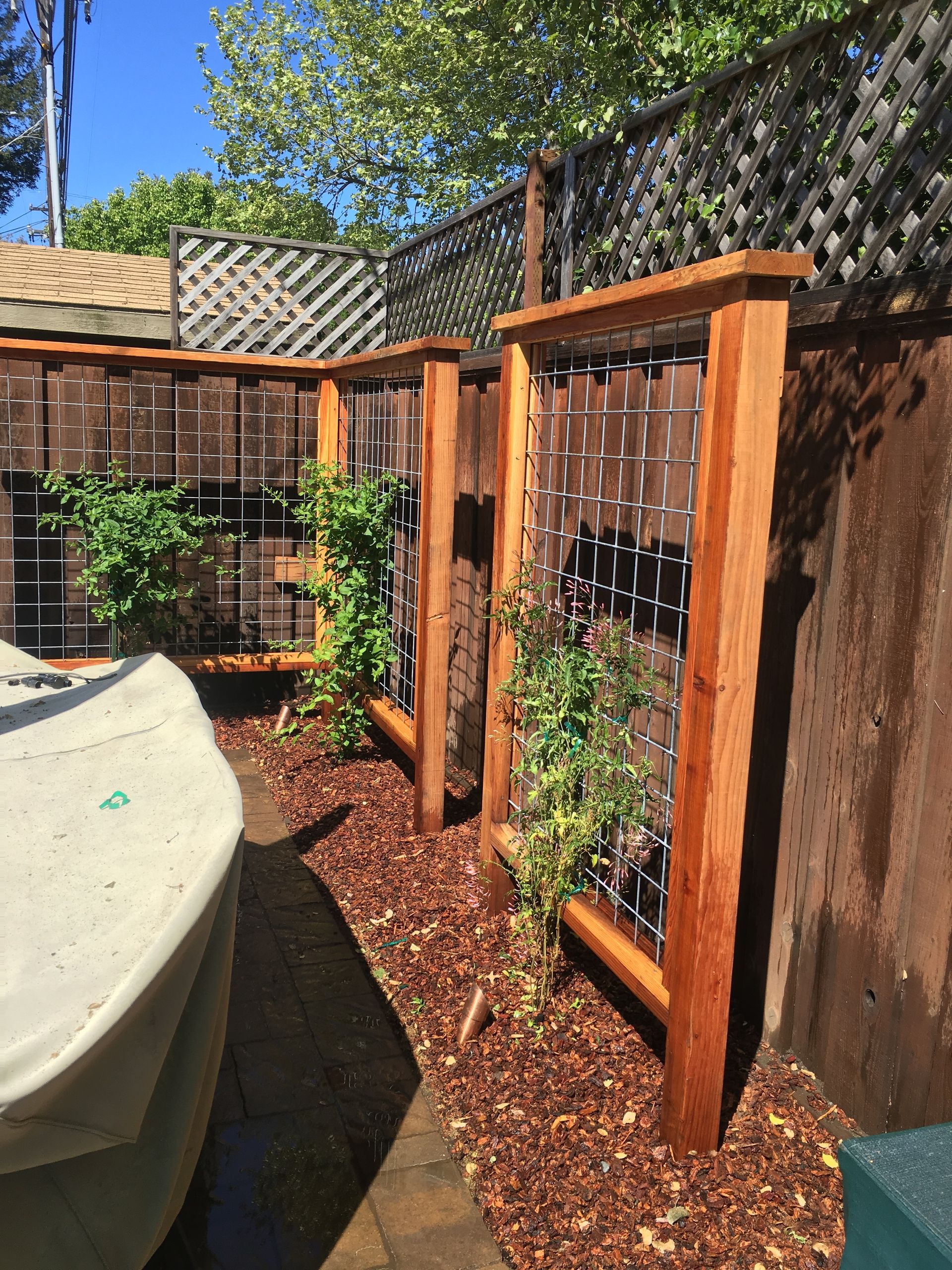 Wooden garden fence with wire mesh and climbing plants.