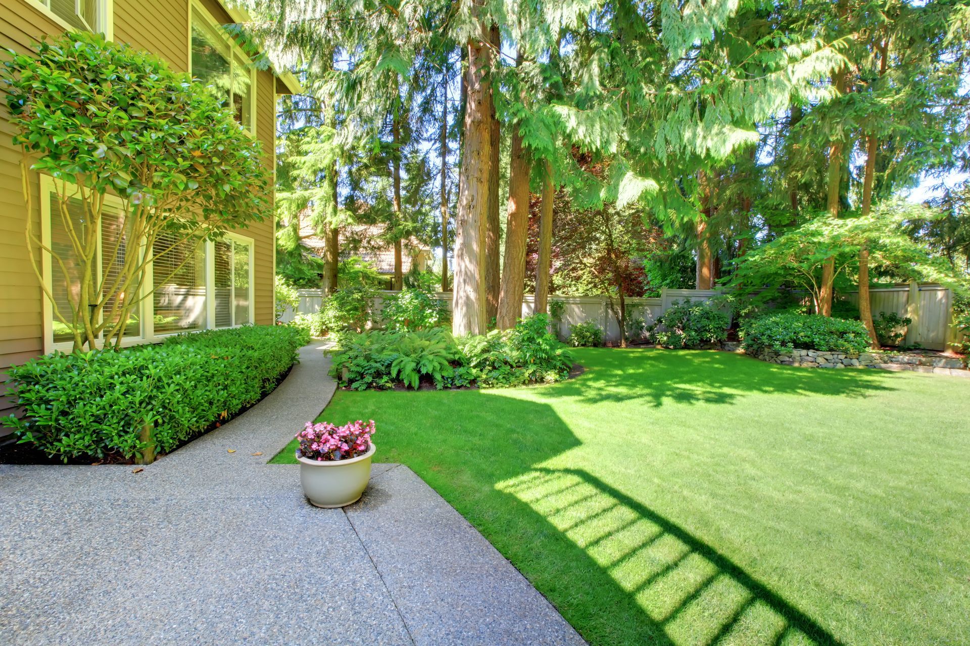Lawn with green grass and trees, a concrete path, a pot with pink flowers, and a house.
