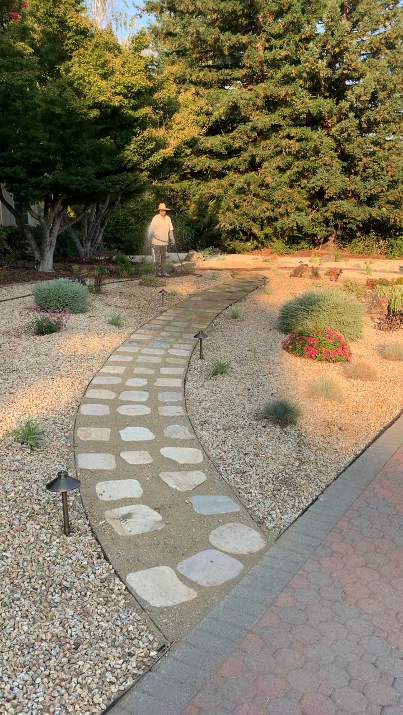 Stone path winds through a garden, person standing at the end near a tree.