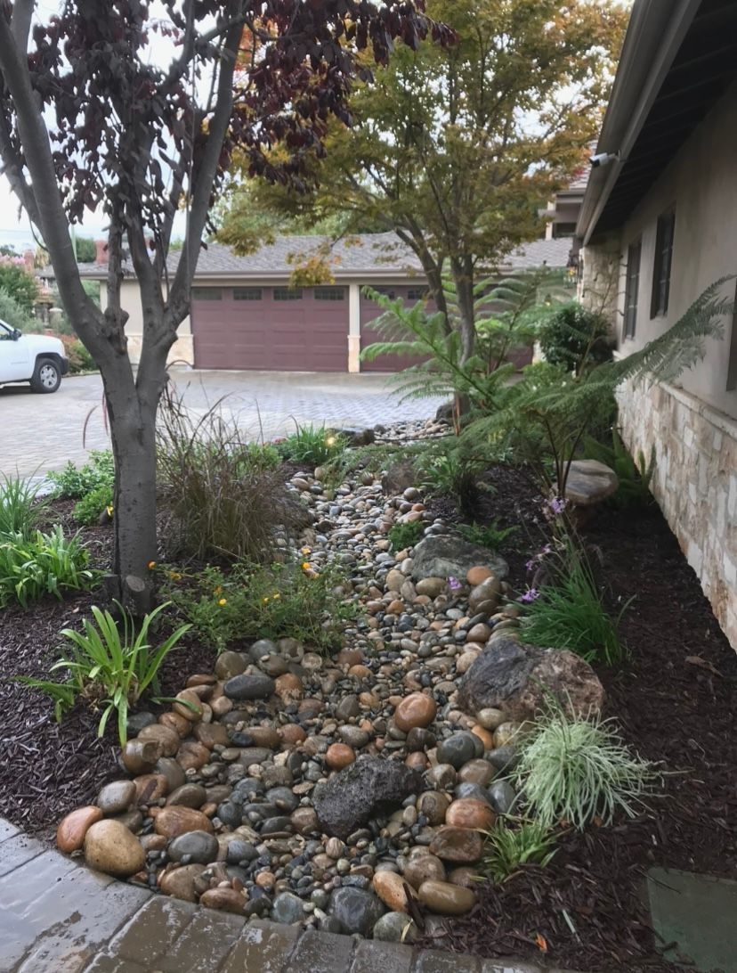 Landscaped front yard with a dry creek bed, trees, and a house. Brown, green, and gray tones dominate.
