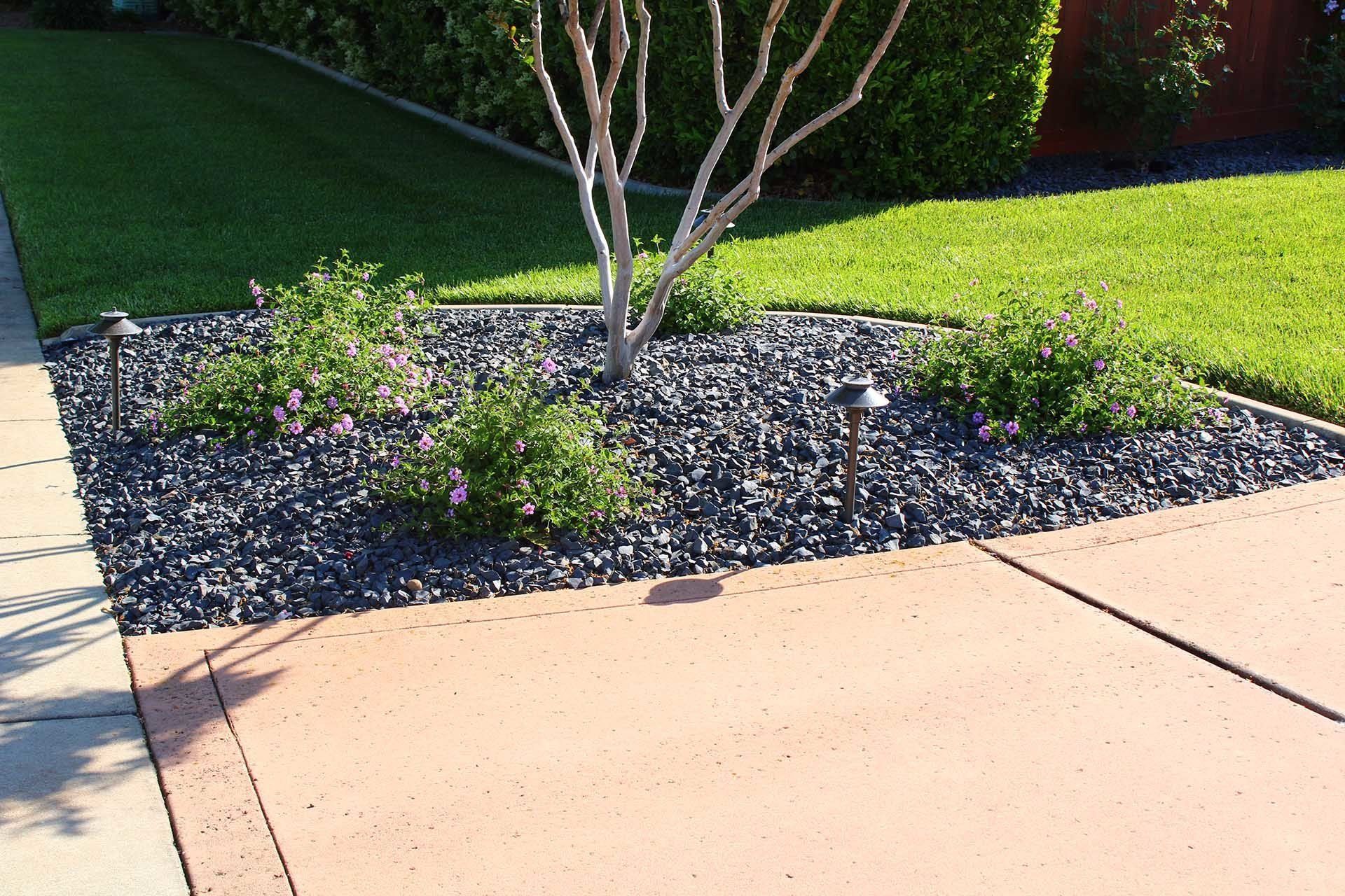 Landscaping | Glen, California | Songbird Landscaping