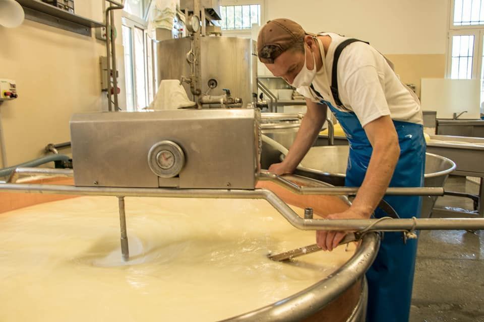 produzione formaggio