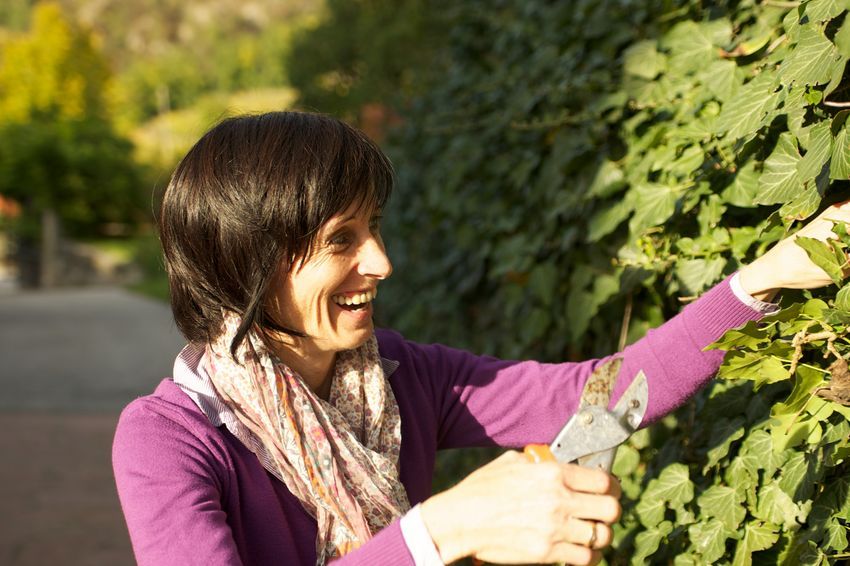 Martha Schmittner Terlan