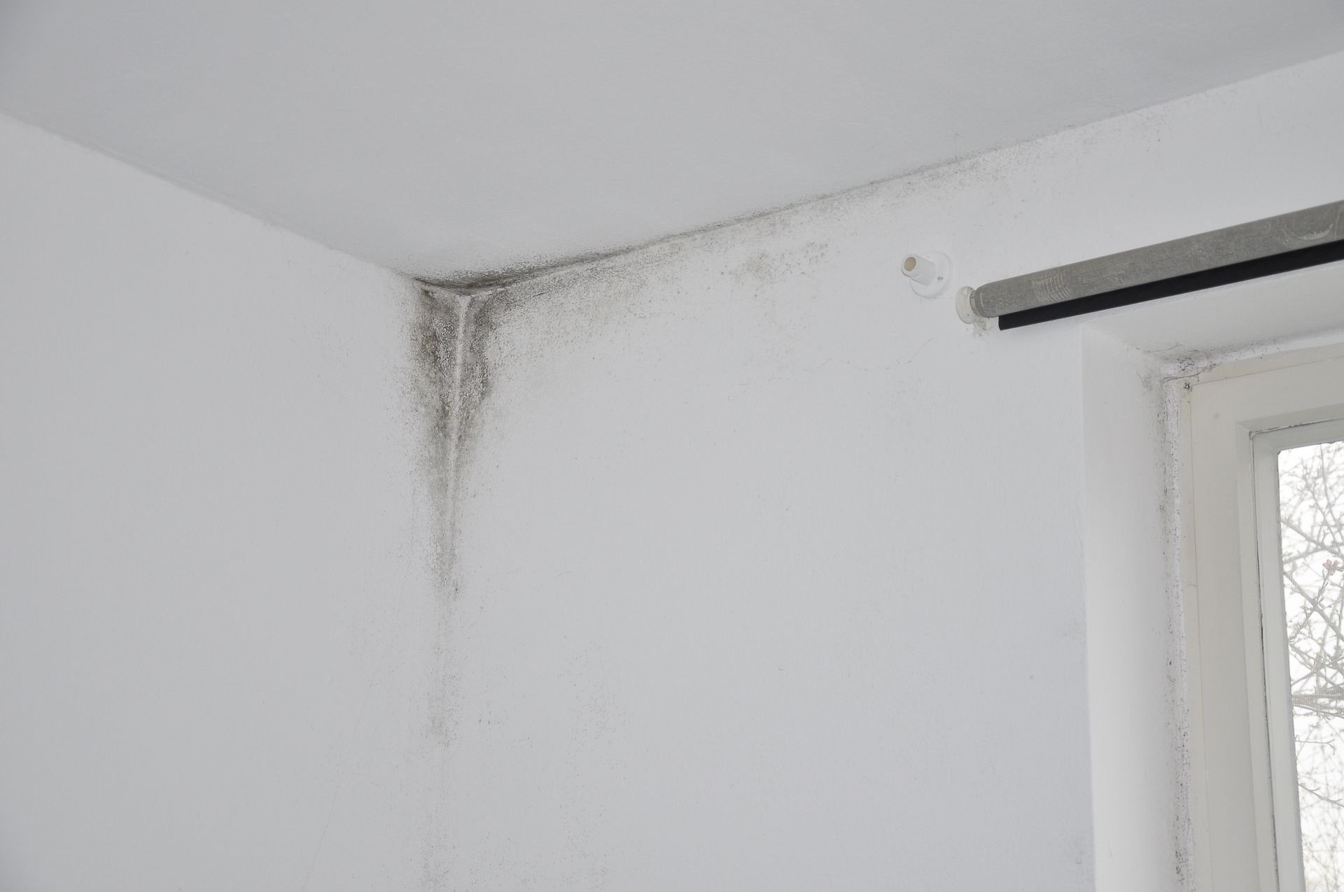 A white wall with black mold growing on it next to a window.