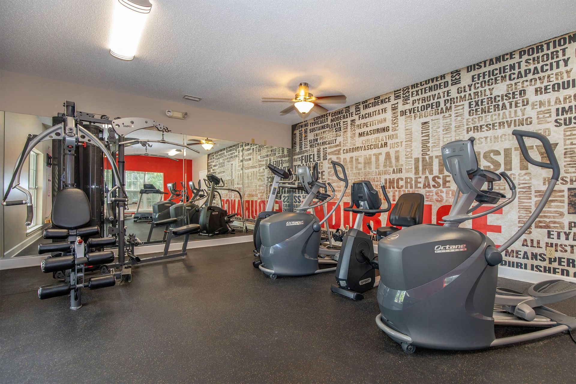 Summer Trace at Gulf Shores fitness center with cardio equipment.