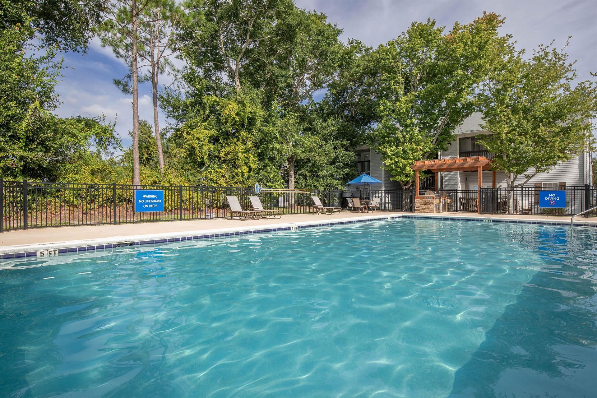 Pool surrounded by trees and lounge chairs on a sunny day.