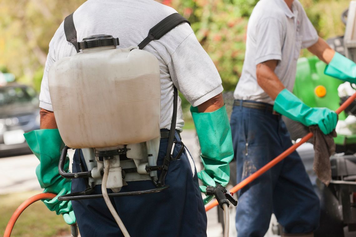 Two workers in green gloves spraying a surface with a backpack sprayer outdoors